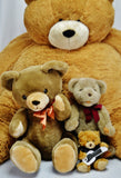 Teddy Bear Collection - Vermont Teddy Bear, Classic Gund, etc.