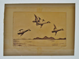 Early Signed Engraving - In Flight