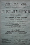 Antique Framed 1800's French L'illustration Horticole Botanical Prints - Set of 3