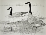 Vintage Framed Steve Leonardi Signed Lithograph Canada Geese