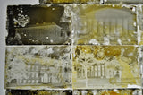 1800's Glass Photo Negative Plates University of Minnesota Campus - Group of 22