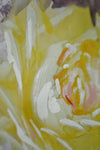 Art Deco Zara Ellwood Framed Gouache Watercolor on Board Yellow Roses